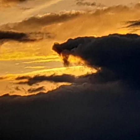 Maison Dougnac Bed & Breakfast