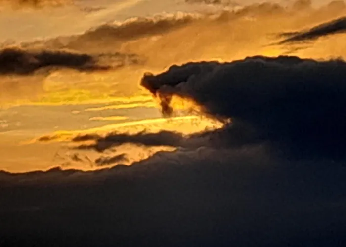 Maison Dougnac 住宿加早餐酒店